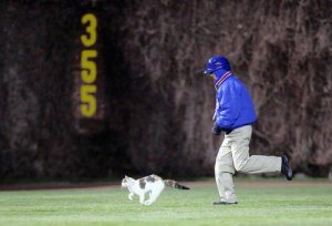 6a00d83451583769e201156f480e3d970c